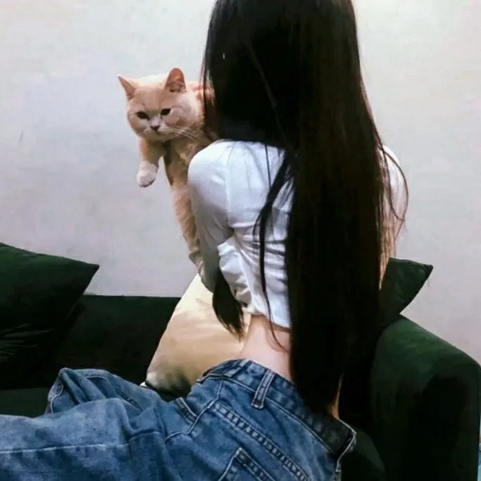 代号九耳犬